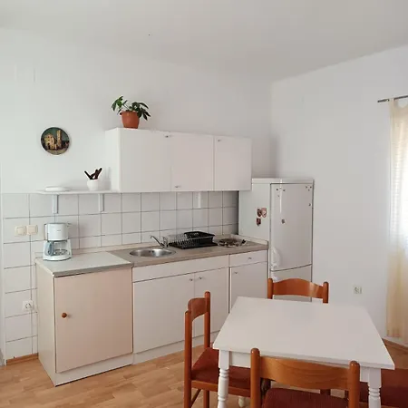 Apartment Udovicic Center *