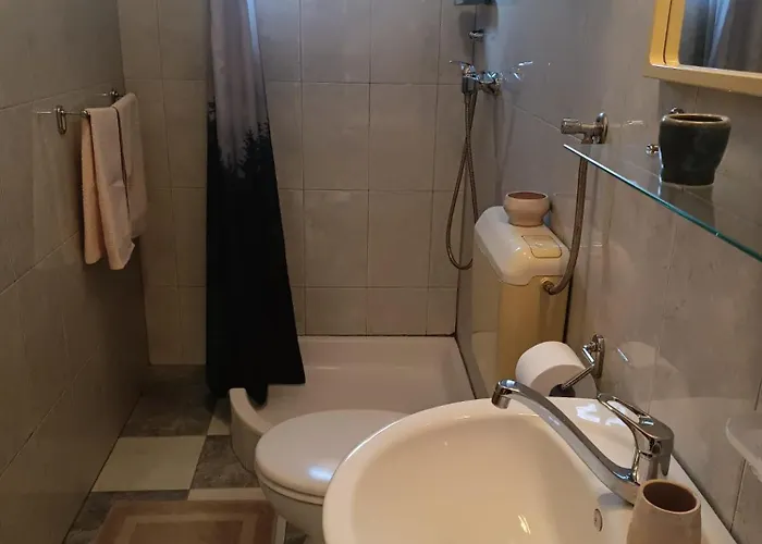 Апартаменты Udovicic Center Водице